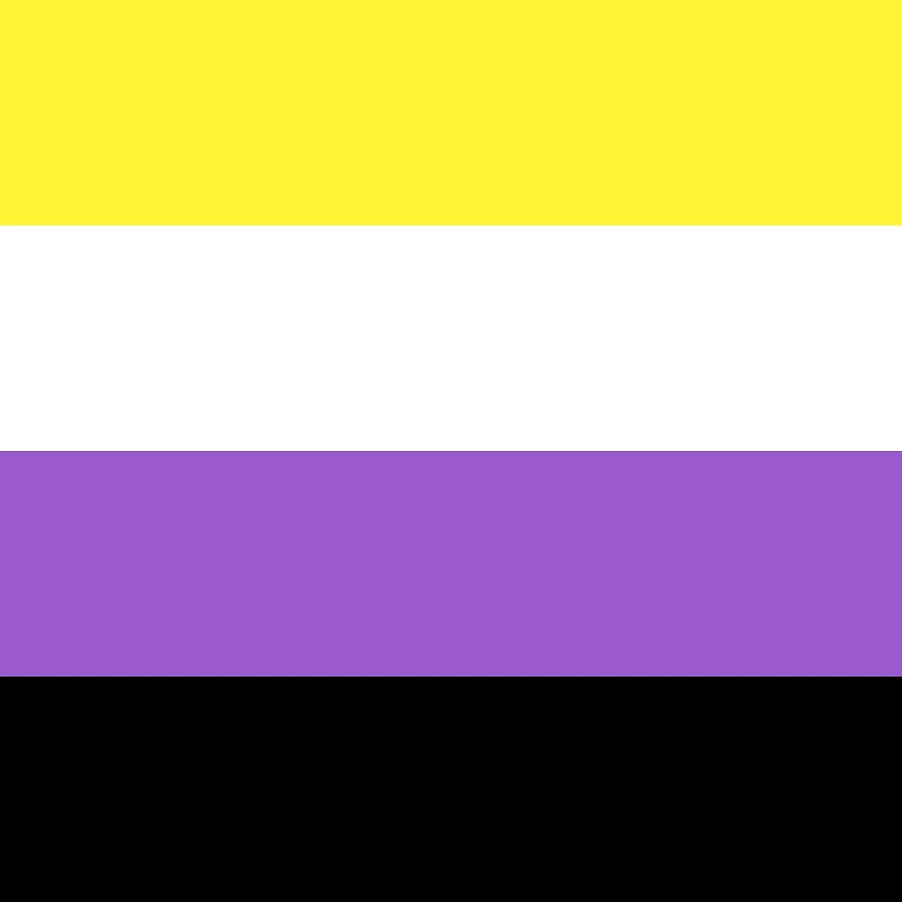 the nonbinary pride flag
